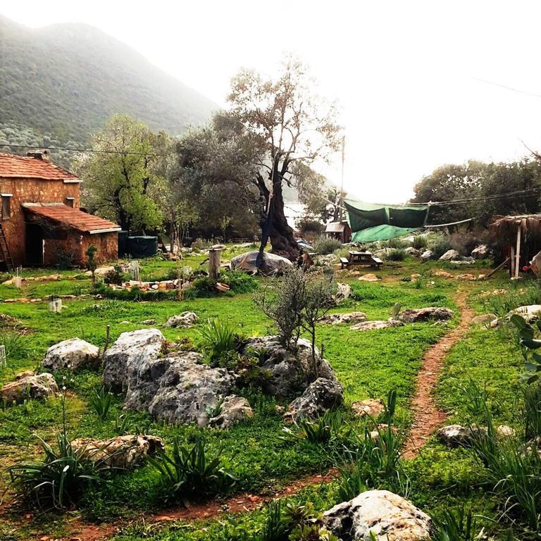 Hiker'S Inn-Purple House Kaleucagiz Luaran gambar